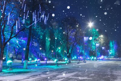 Holiday Lights Installation