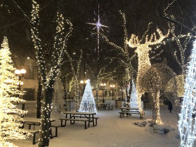 Holiday Lights Installation