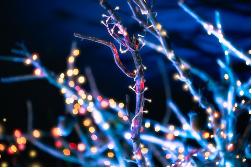 Holiday Lights Hanging in Kansas City, MO