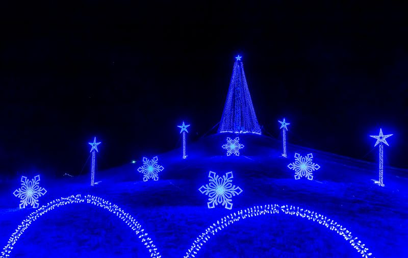 Festive outdoor light display